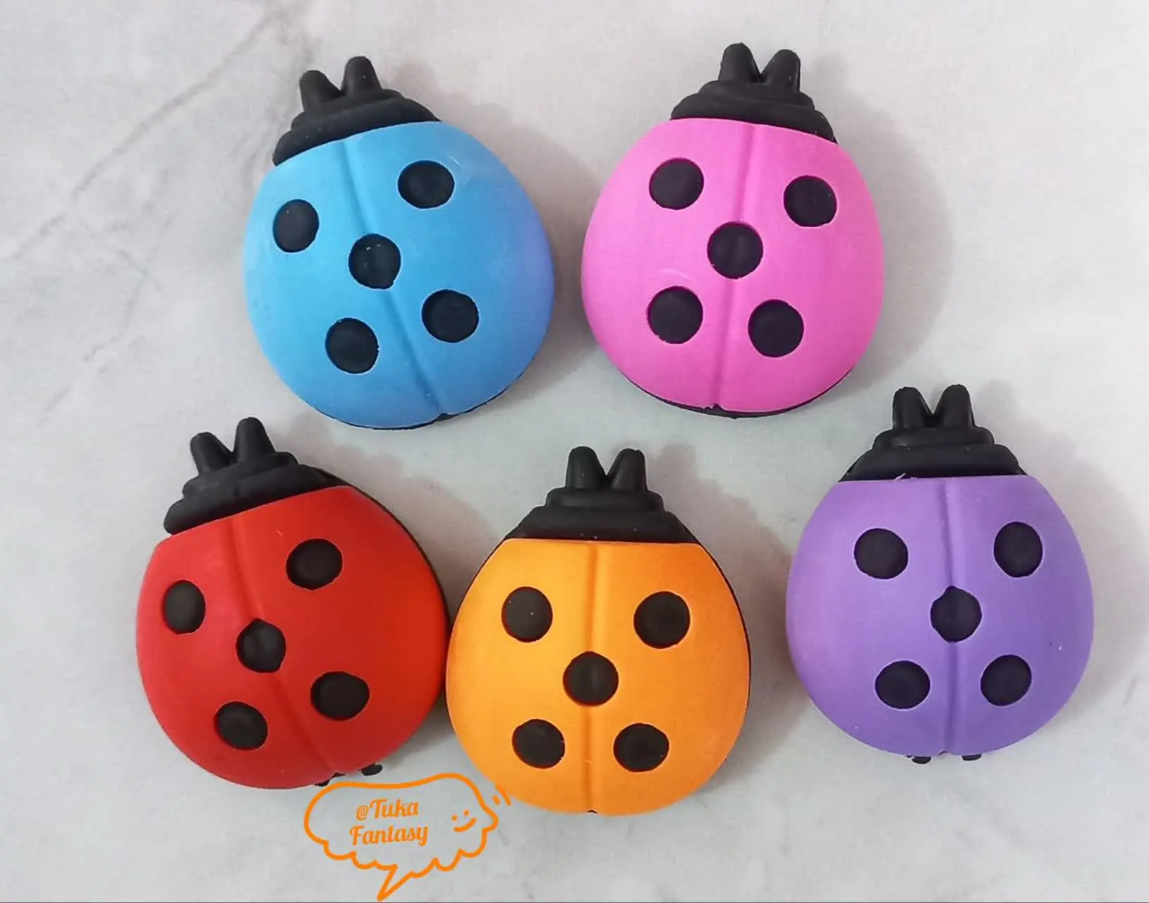 پاک کن کفشدوزک🥰