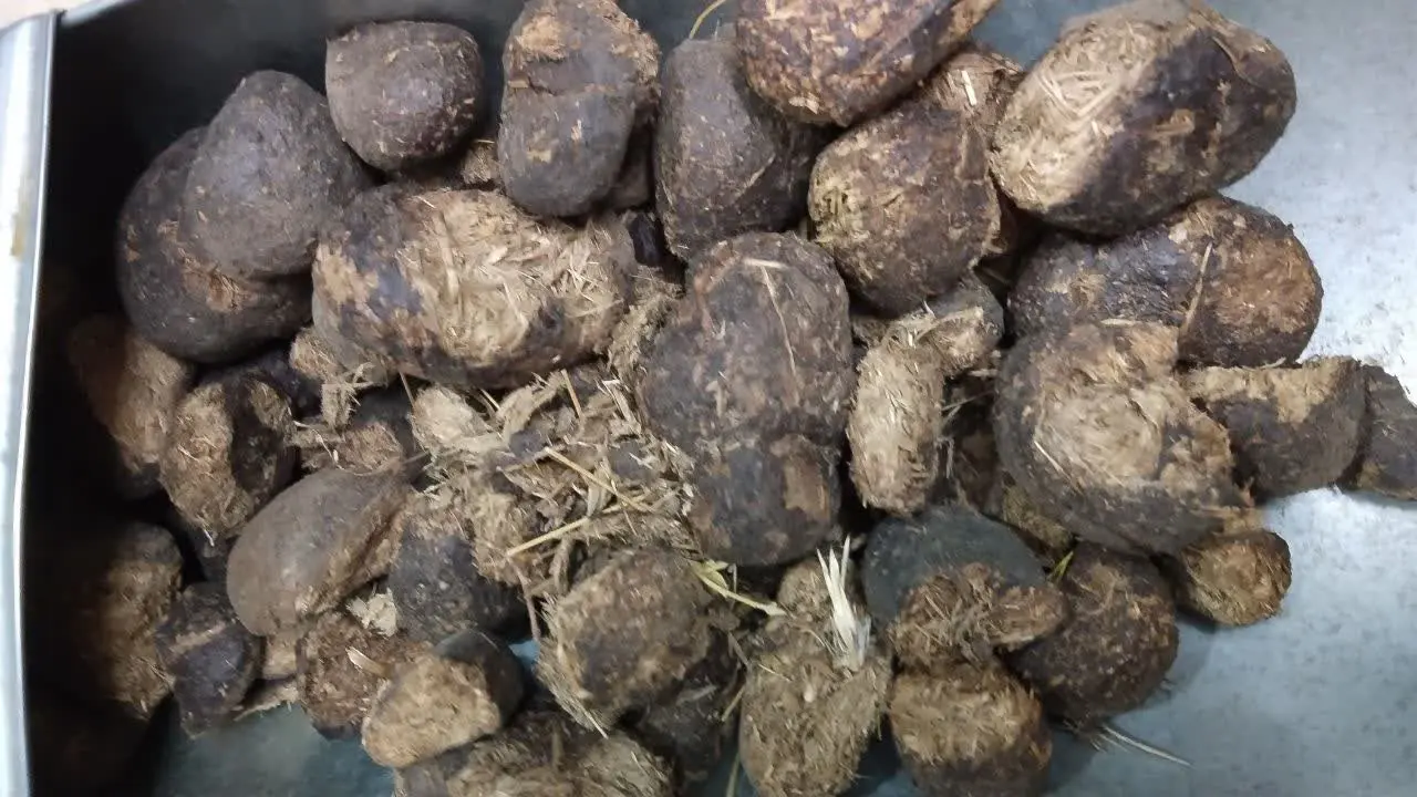 ❇️🔹❇️🔹❇️🔹❇️
