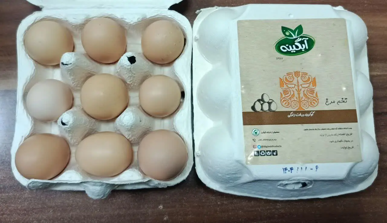 💥تخم مرغ محلی شارژ شد. 💥