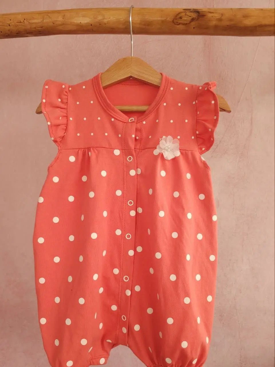 🌸🌸🌸🌸🌸🌸🌸🌸🌸🌸
