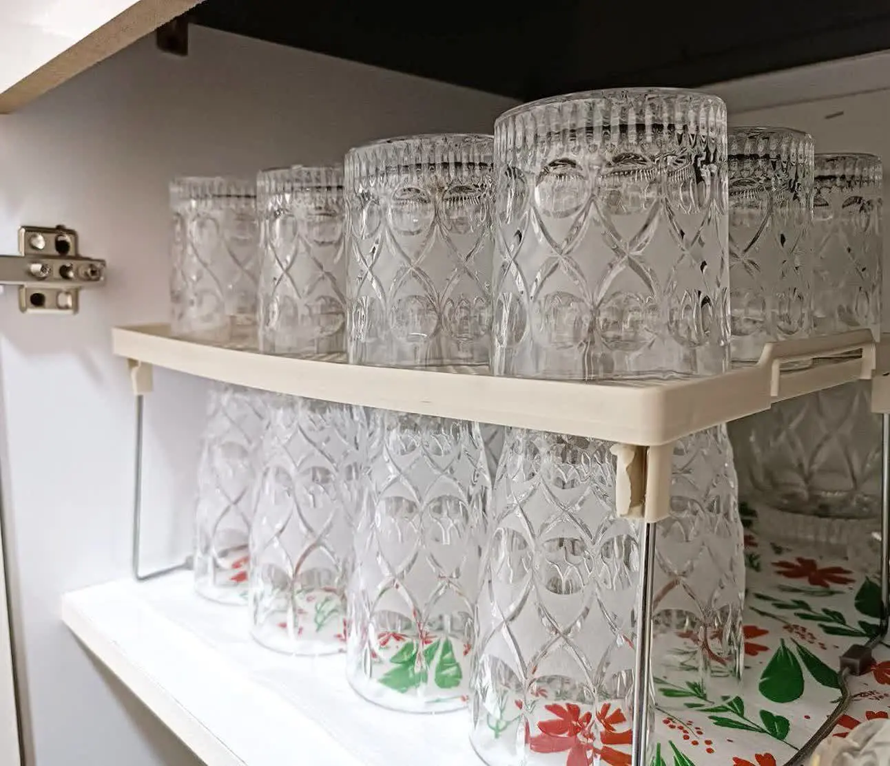 عکس و فیلم از نمای نزدیک راف تاشو 🧐
