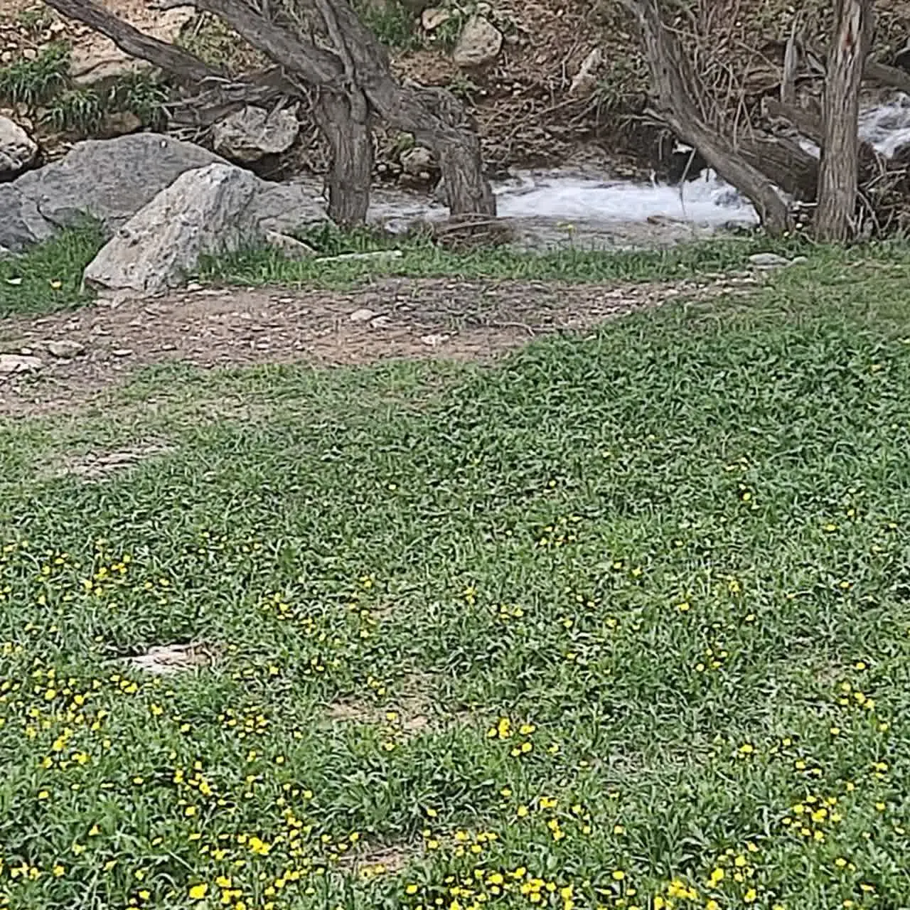 ابوالفضل آمریکایی