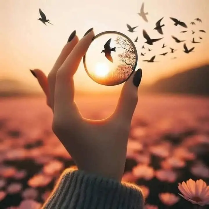 اونقدر درگیر آینده شدی که یادت رفته وسط همونجایی هستی که آرزوشو داشتی👌
