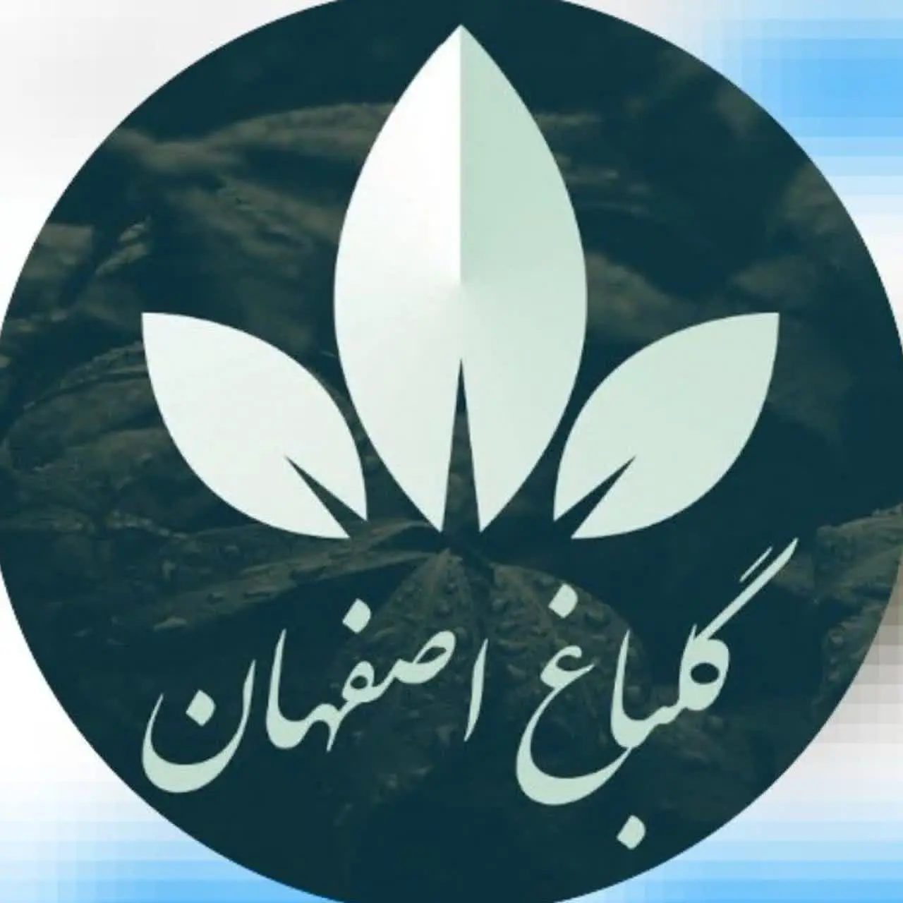 گلباغ اصفهان(گلخانه براتی)