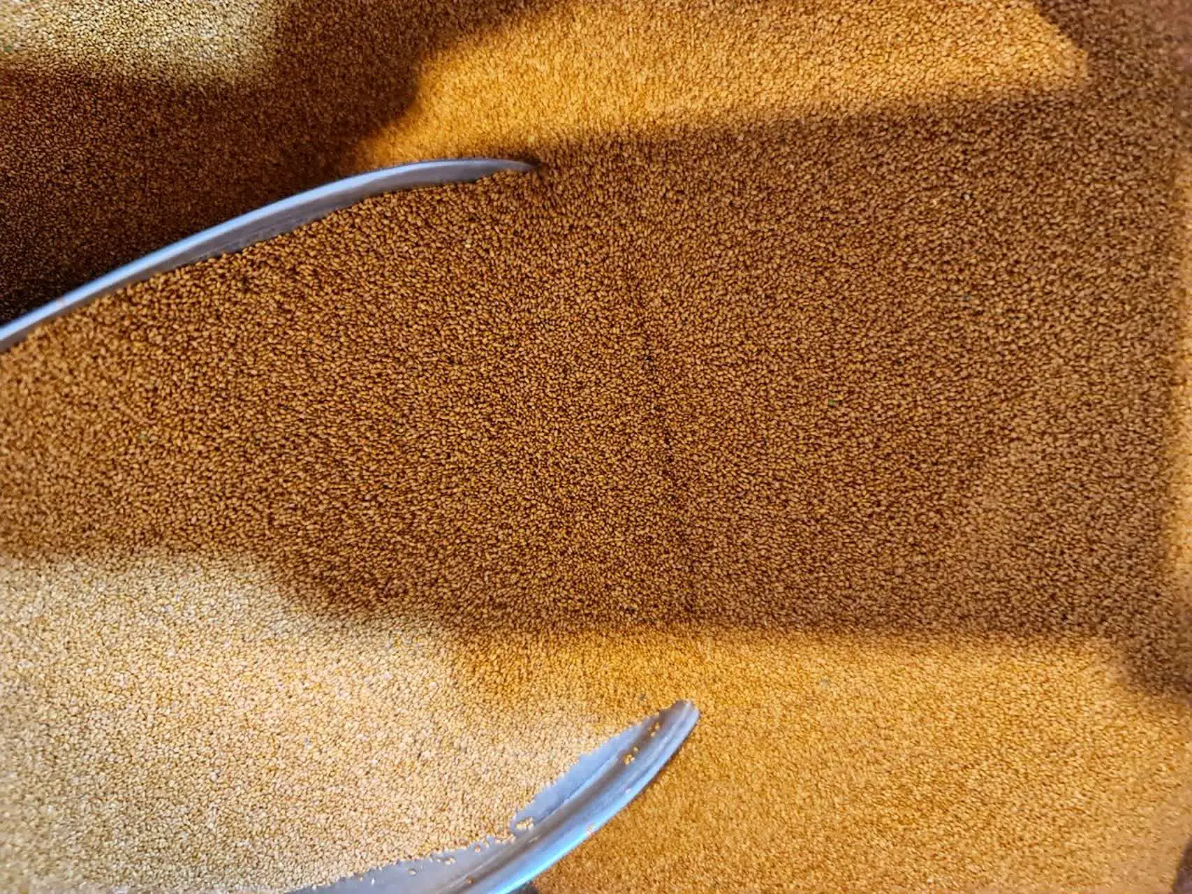 #خاکشیر فوق اعلاء همدان
