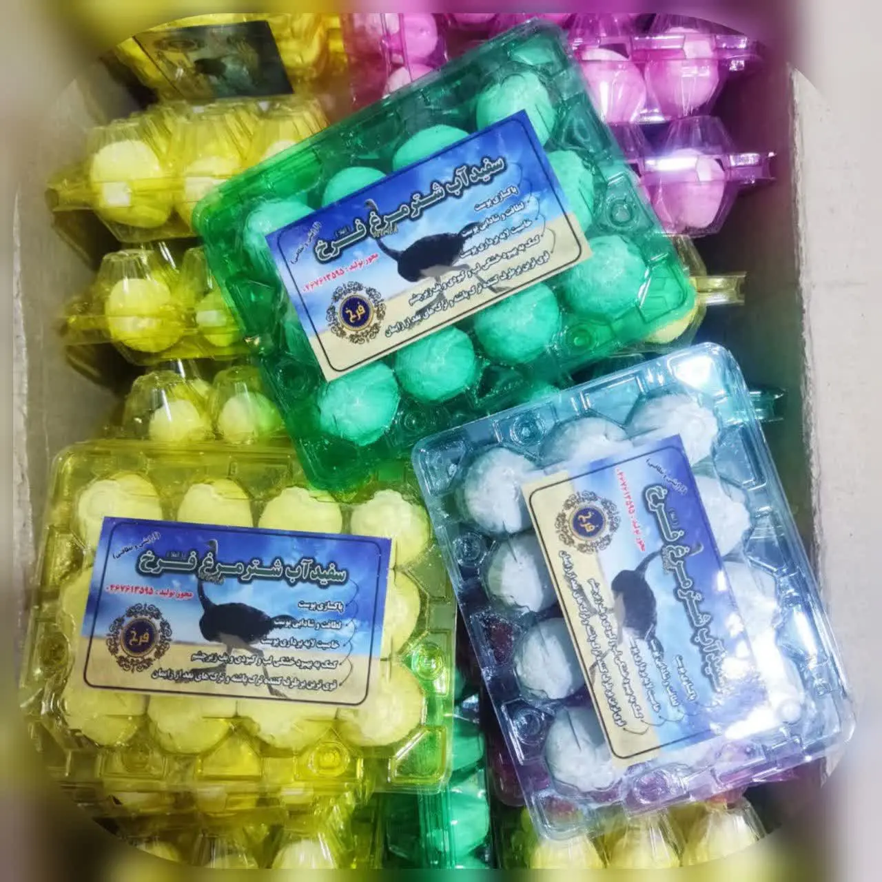 روشور شترمرغ🐫🐔
