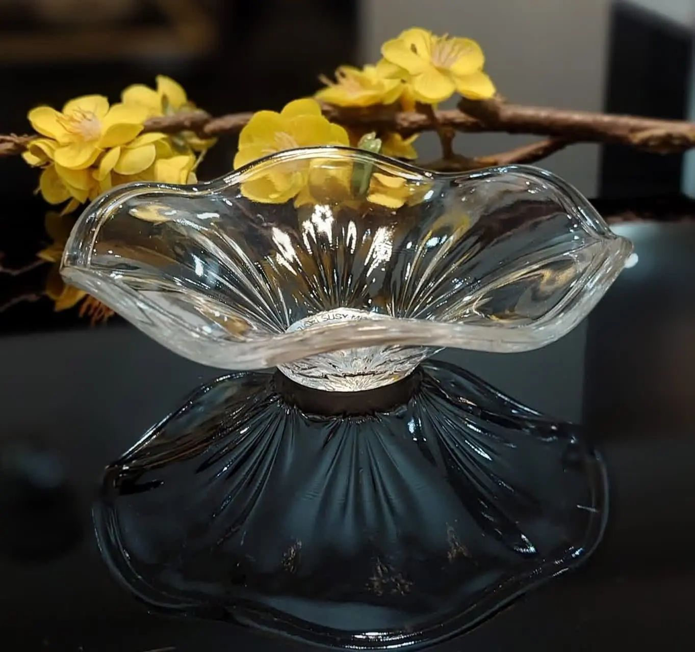 تتقلاتخوری زیبا
