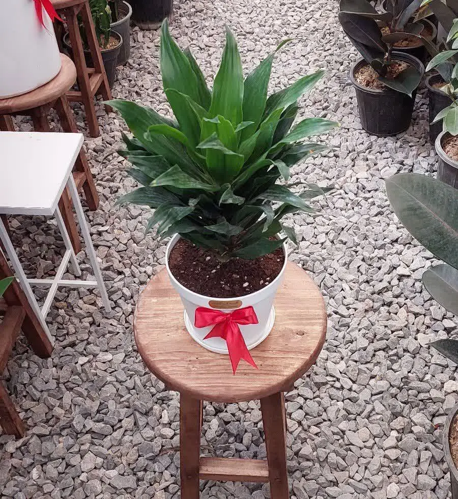 کامپکت 😍😍😍
