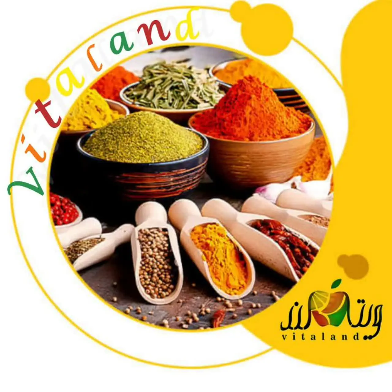 ویــــــتــــــــالـــــــنــــــد