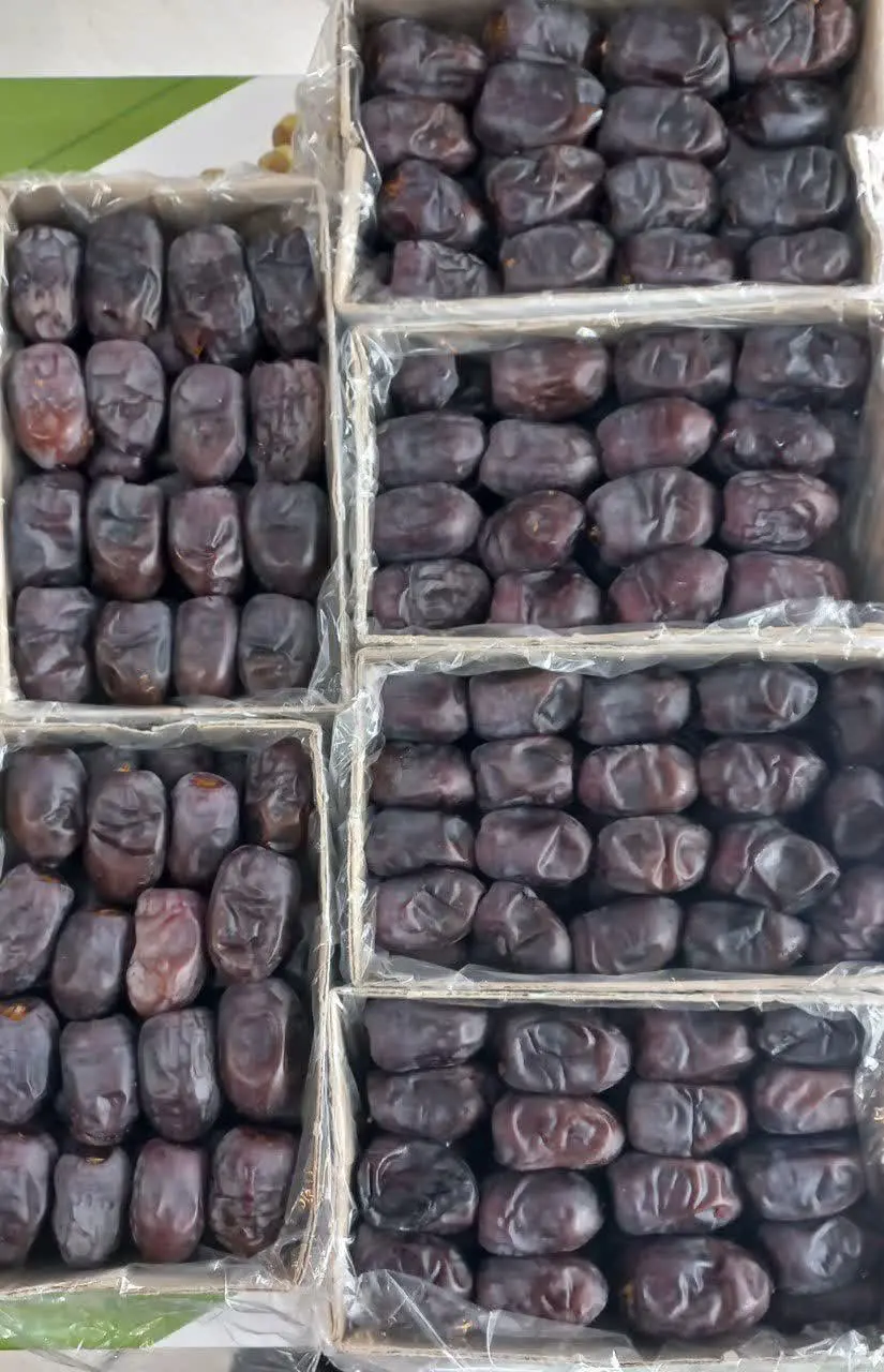 🌴مضافتی اقتصادی 🌴