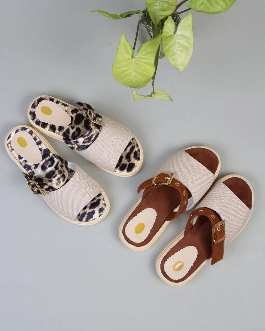 کد ۱۴۴ SH۳۱۵
