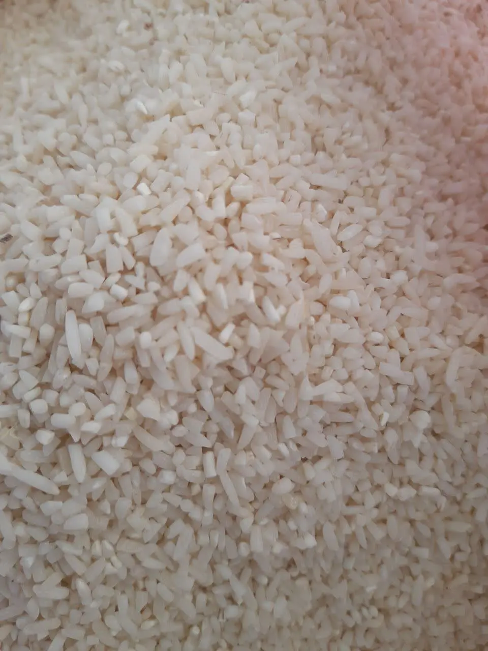 ۲۵۰ کیلو برنج نیم‌دانه هاشمی شارژ شد. 
