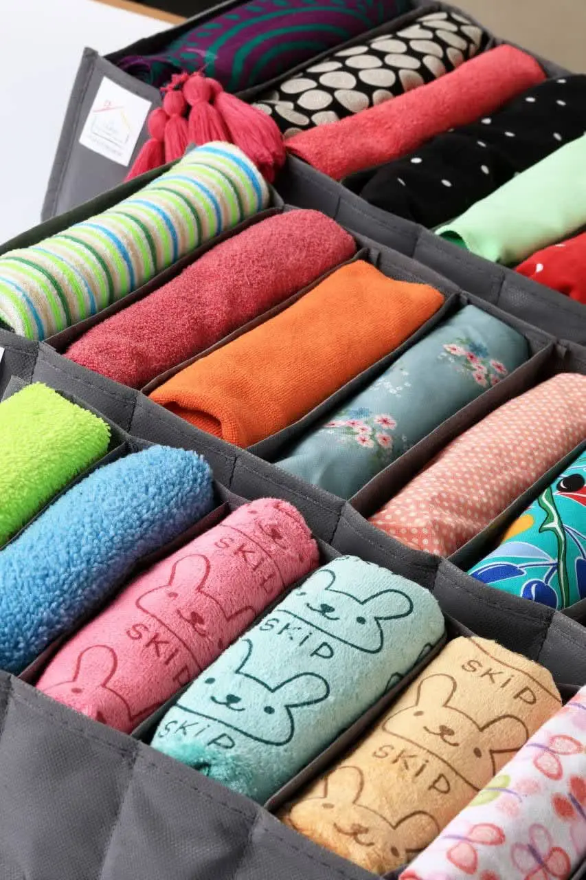 ارگانیزر کشو سیلور
