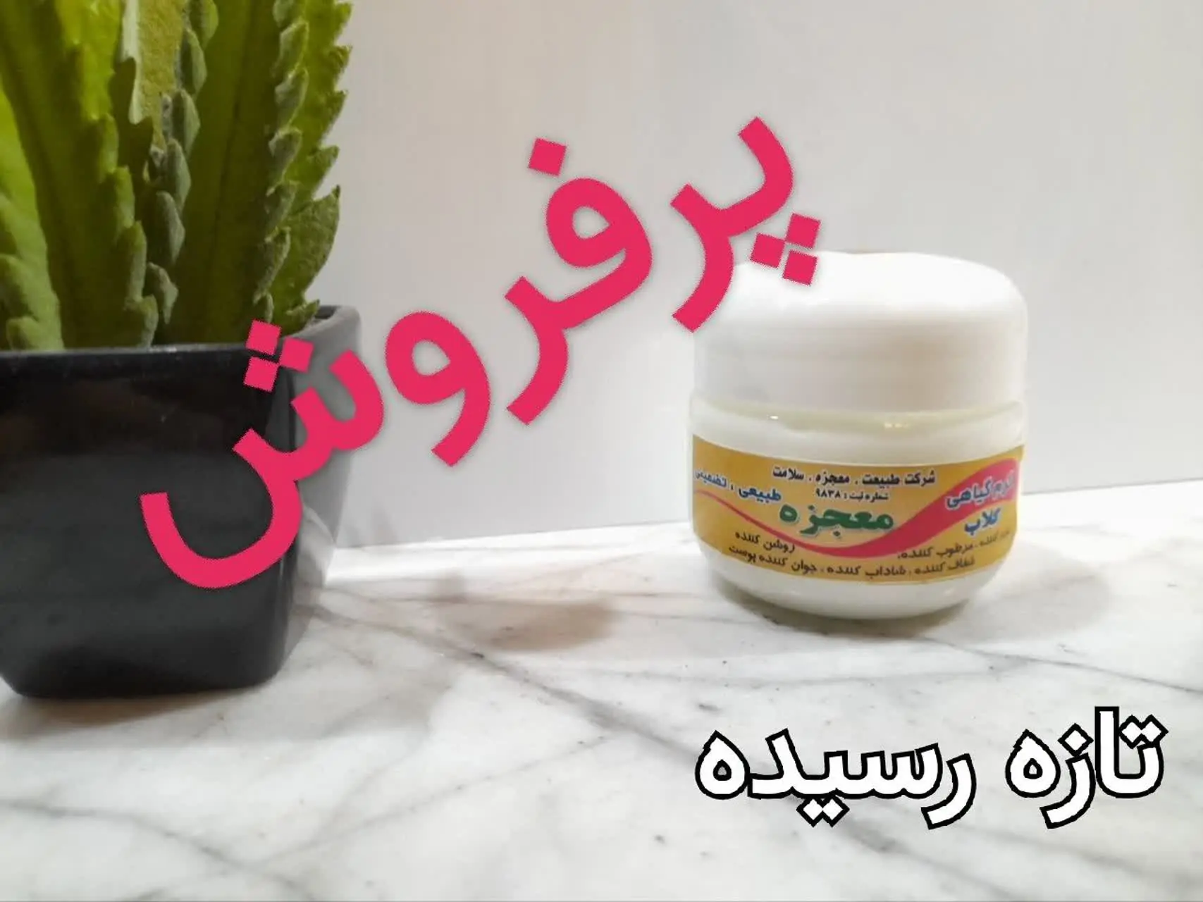 کرم گلاب ببر☺️🌸
