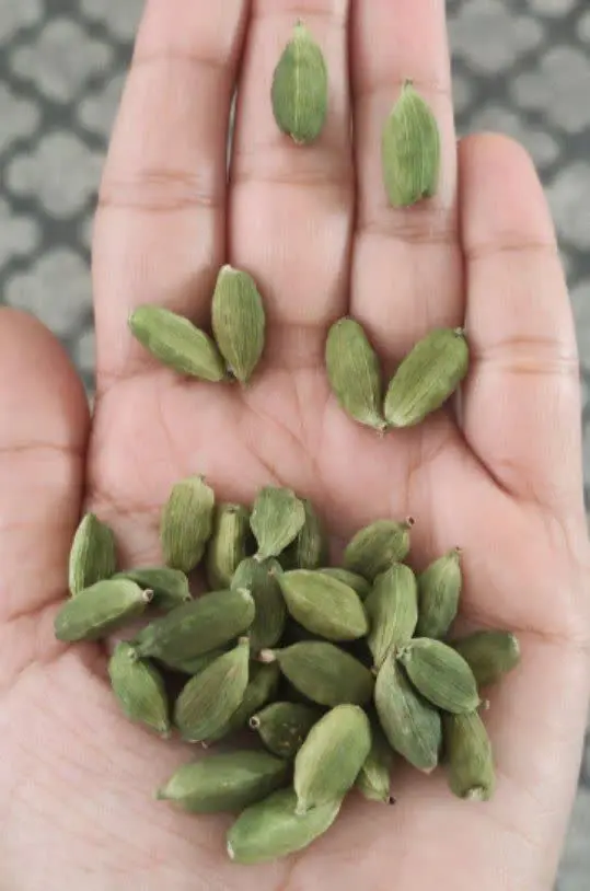 هل سبز اعلا 👌
