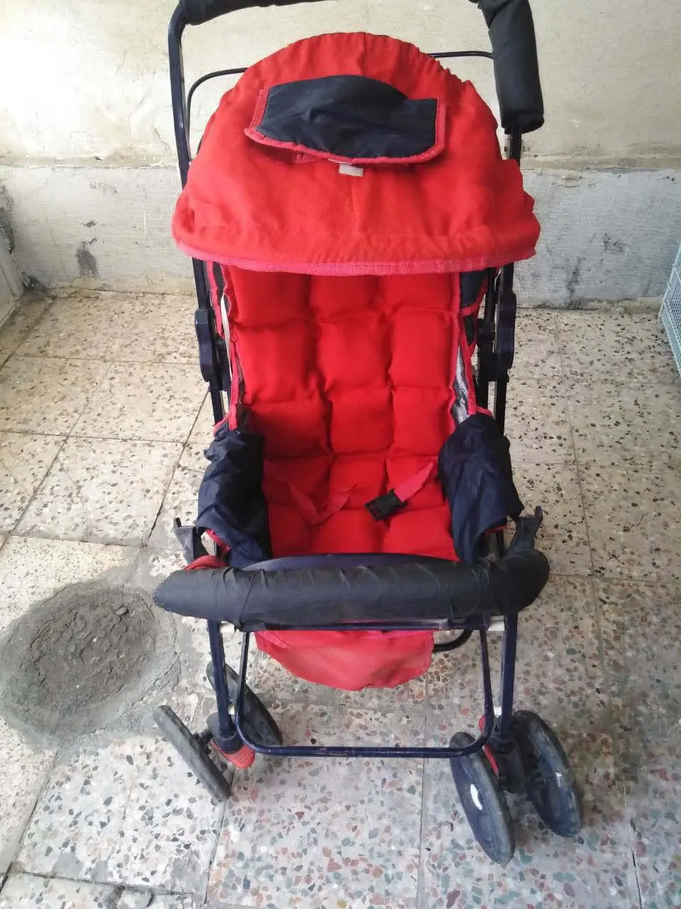 کالسکه خوشرنگ