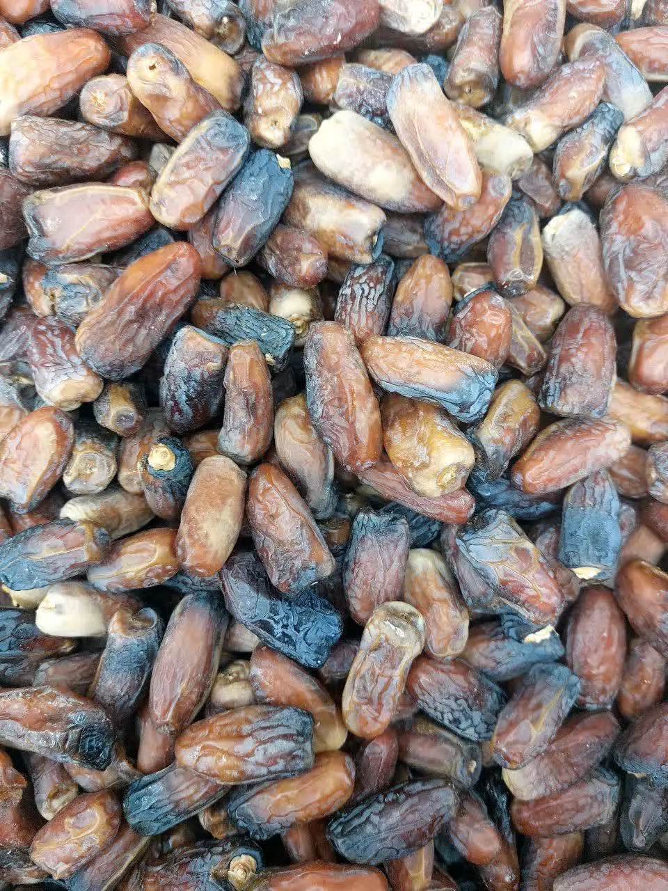 خرما پیارم تازه