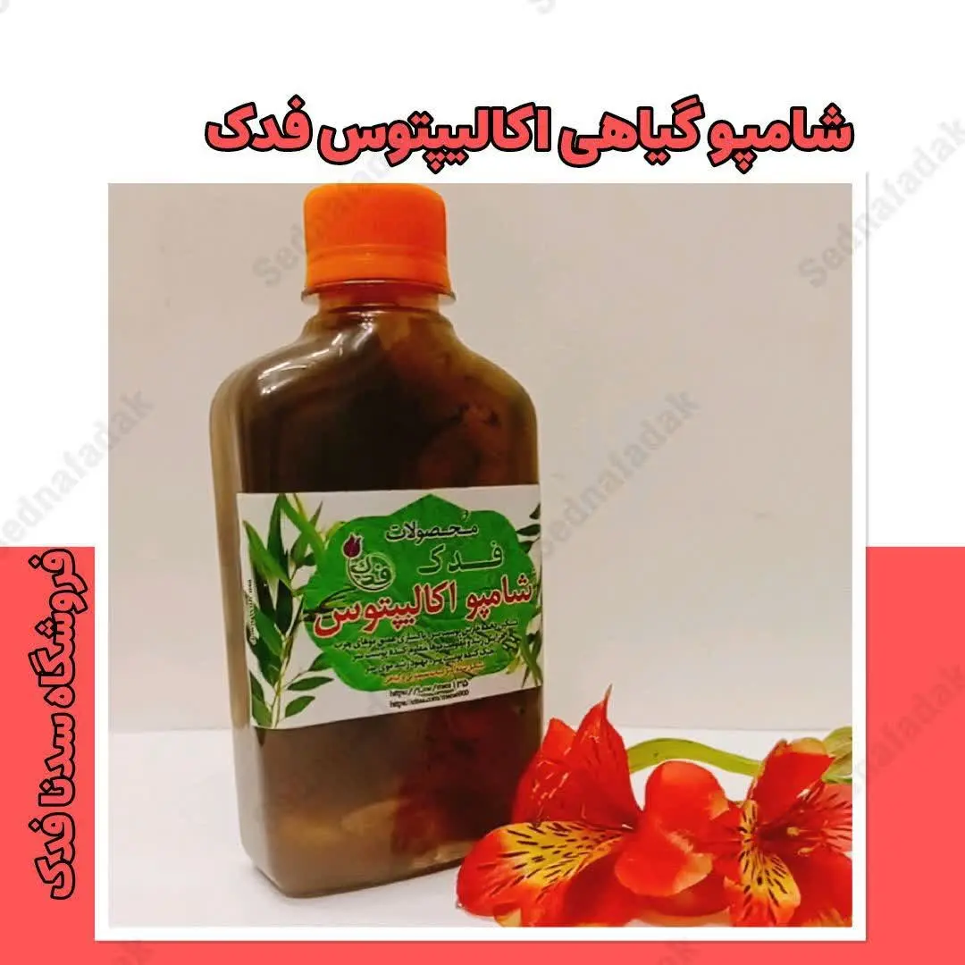 💫🌟 شامپو گیاهی اکالیپتوس فدک