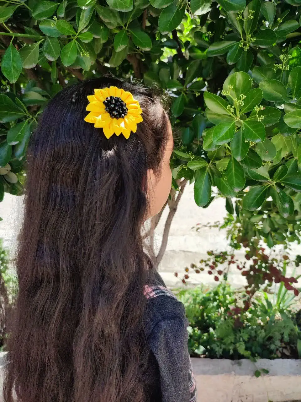 گلسر افتابگردون 🌻
