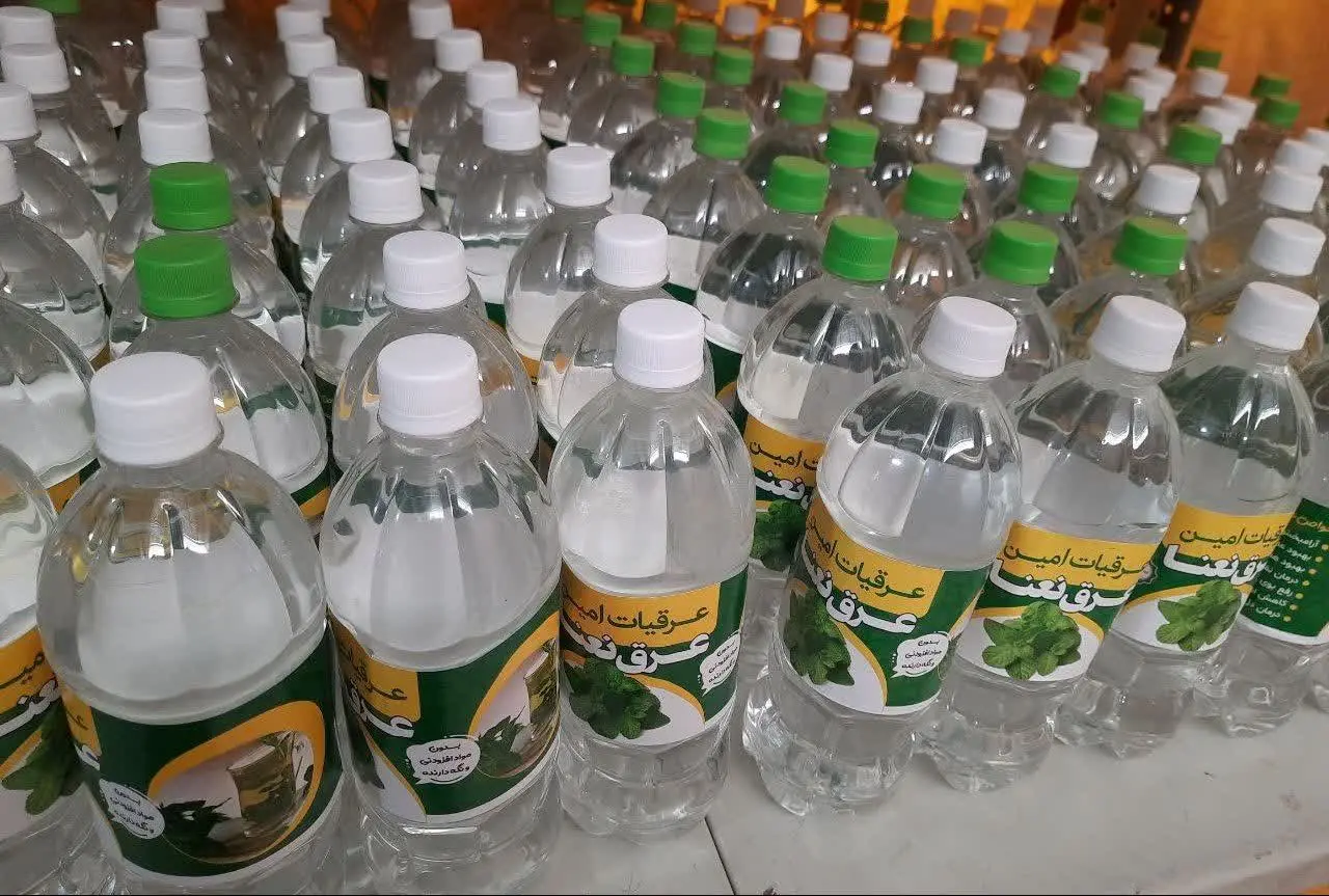 عرق نعناع 🌱
