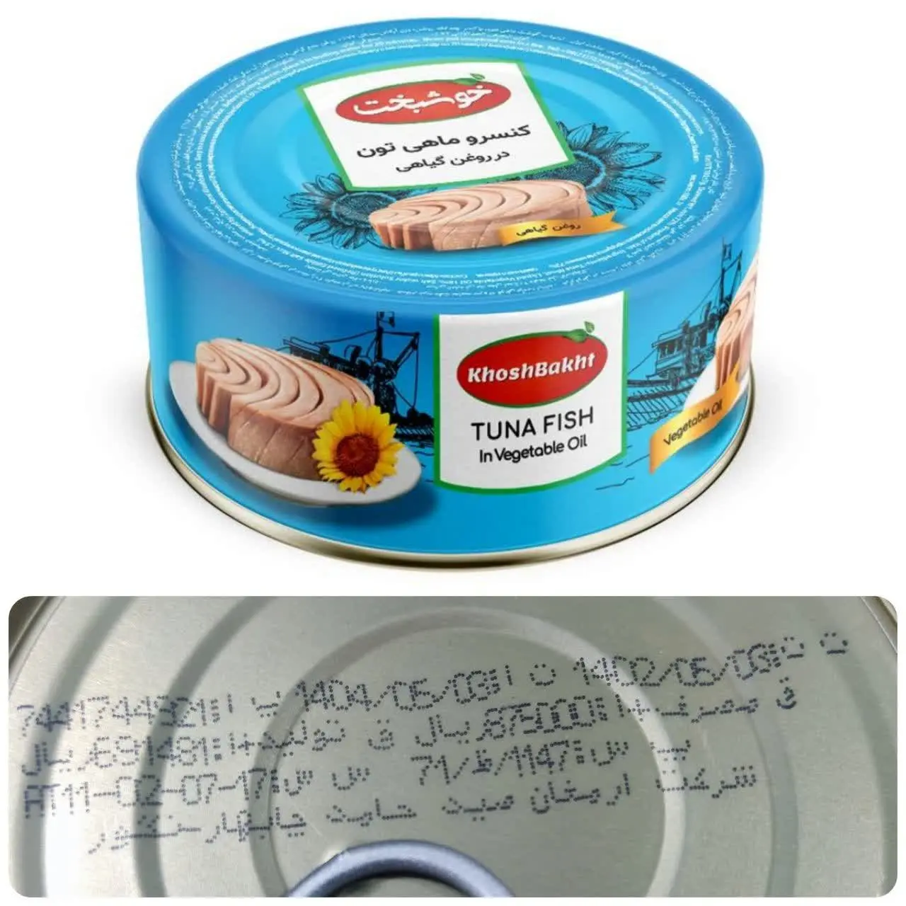 🐟 تن ماهی خوشبخت 🐟
