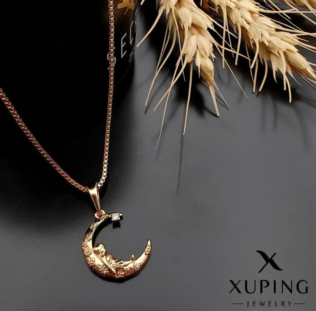 #پلاک بدون زنجیر ژوپینگ کد ۱۷۳۶
