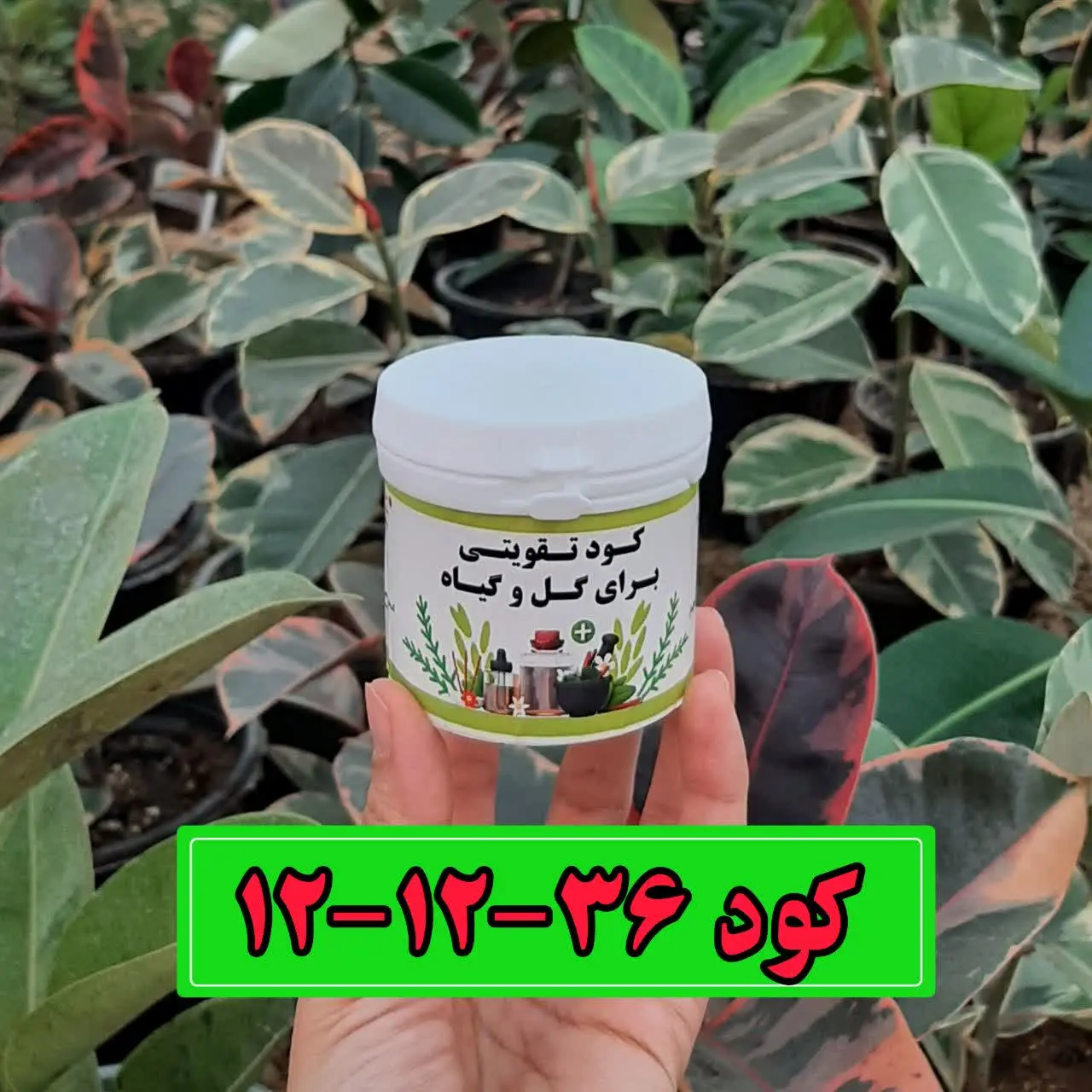 📌کود ۳۶-۱۲-۱۲: 
