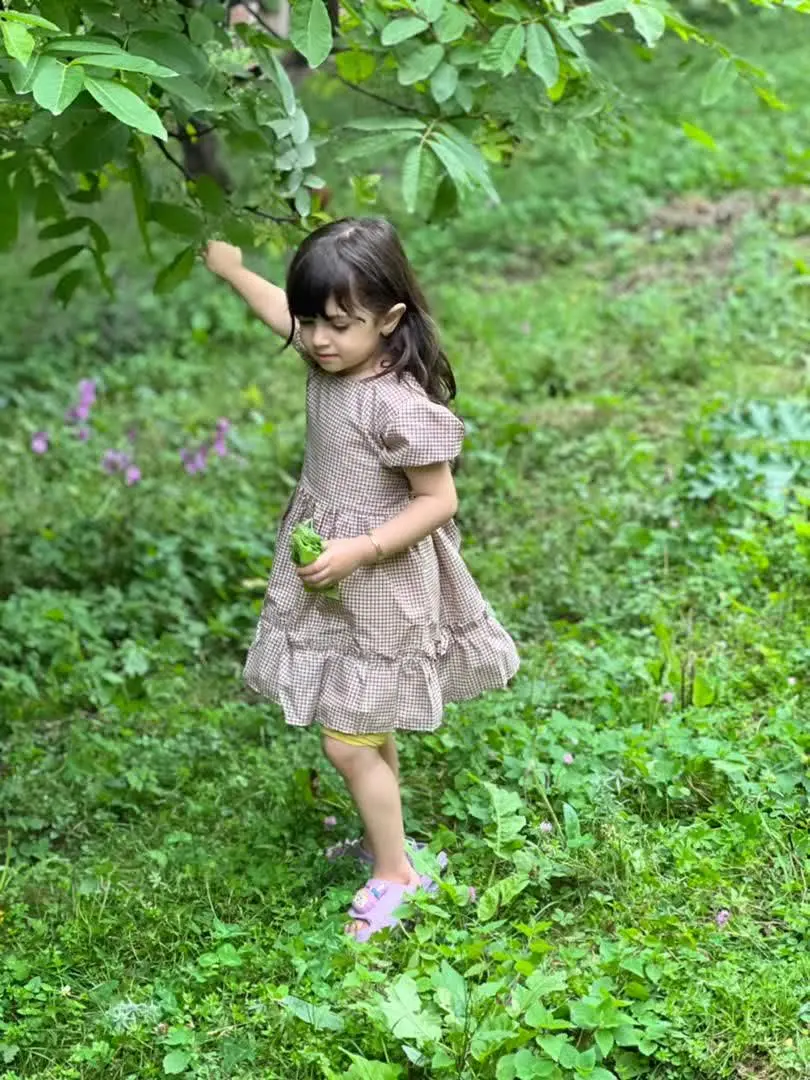 چهارخونه قهوه‌ای
