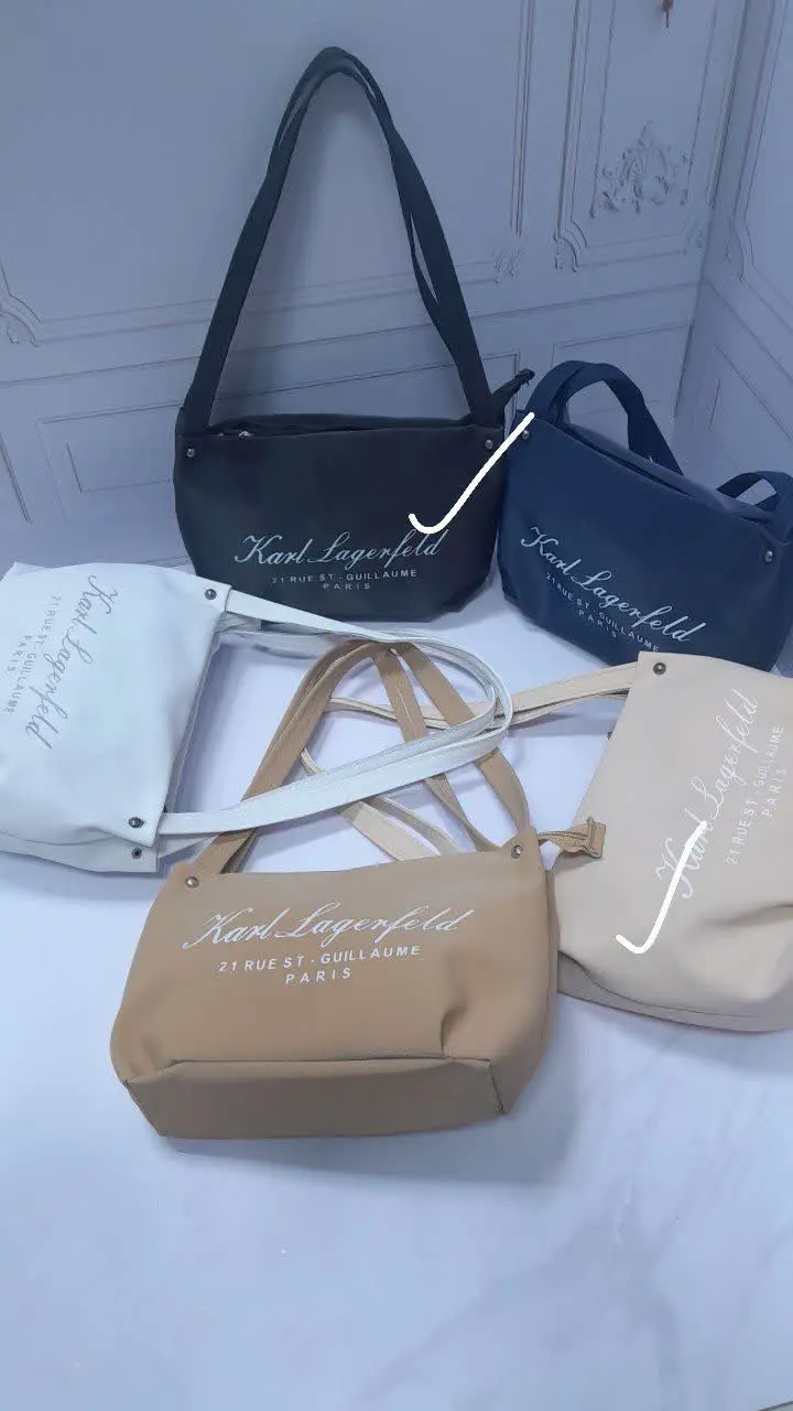 #کیف دودسته پاریس
