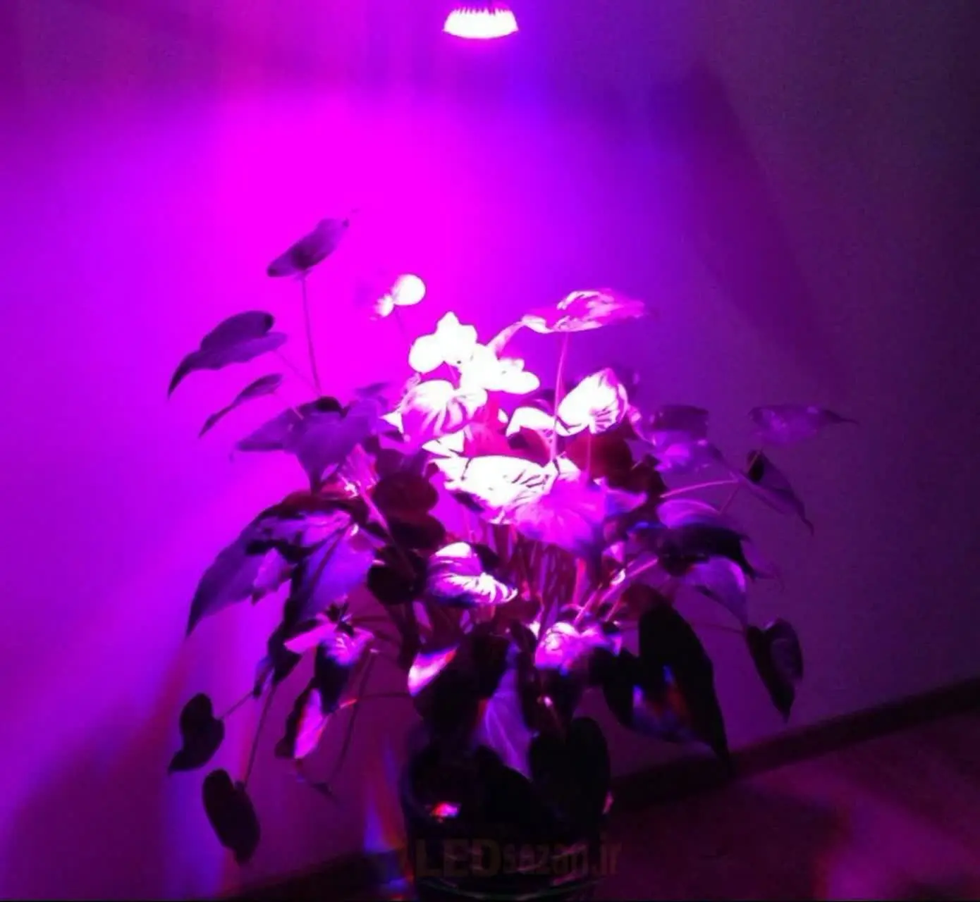 لینک فروشگاه ما در برنامه باسلام✋
