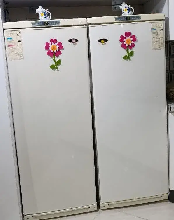 یخچال و فریزردوقلو در حد نو