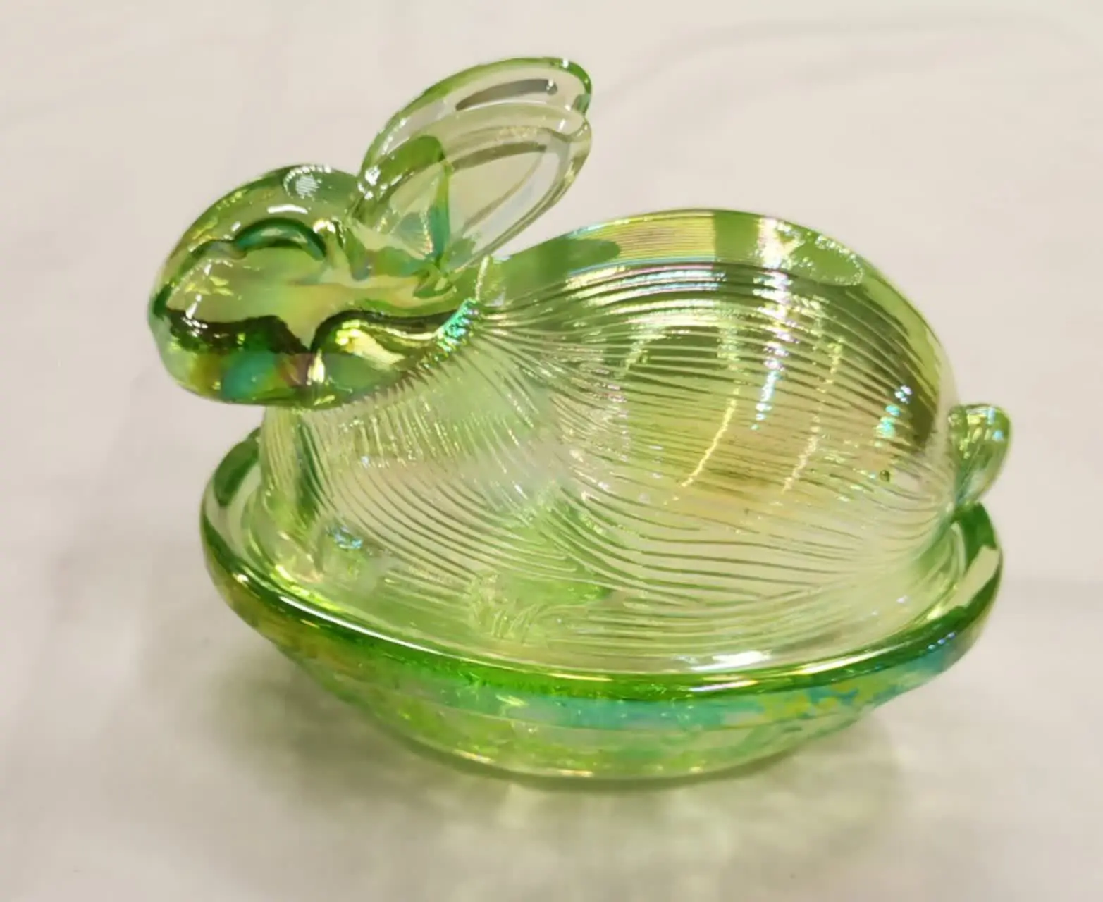 شکلات خوری خرگوش شاینی