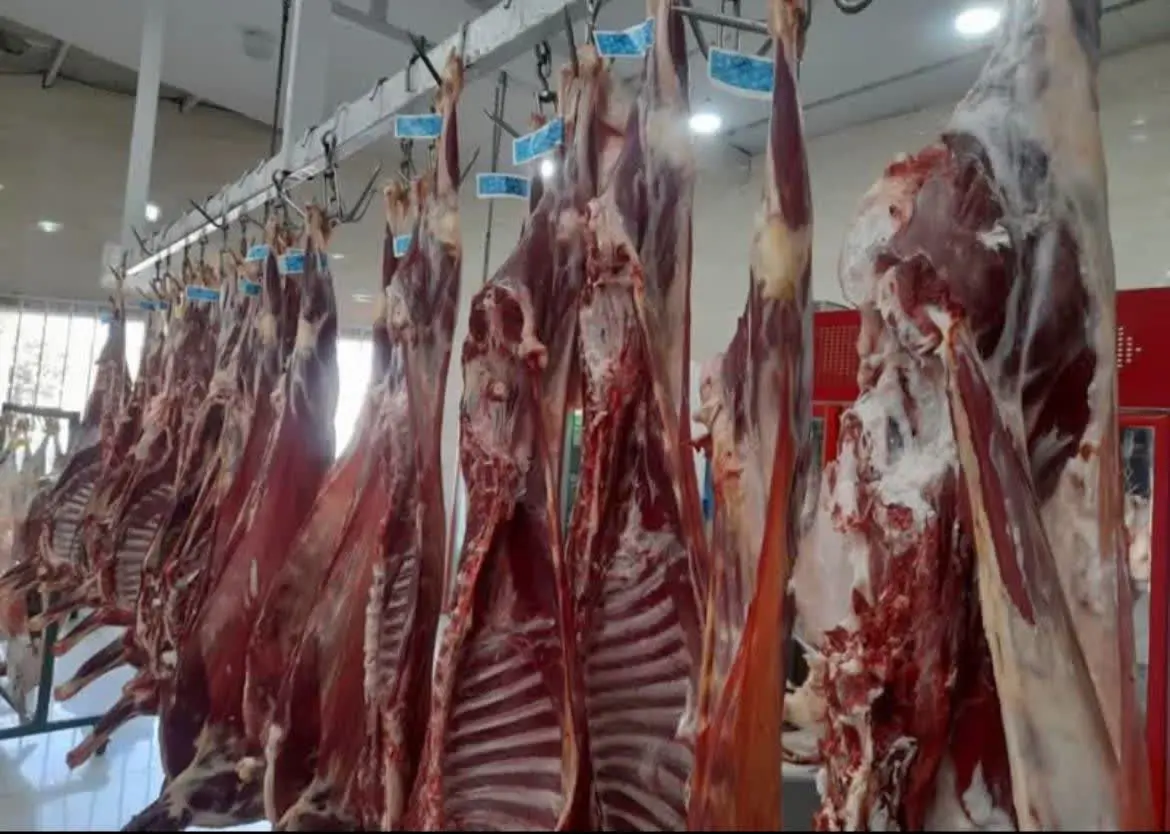 #گوشت_گرم_گوسفند
