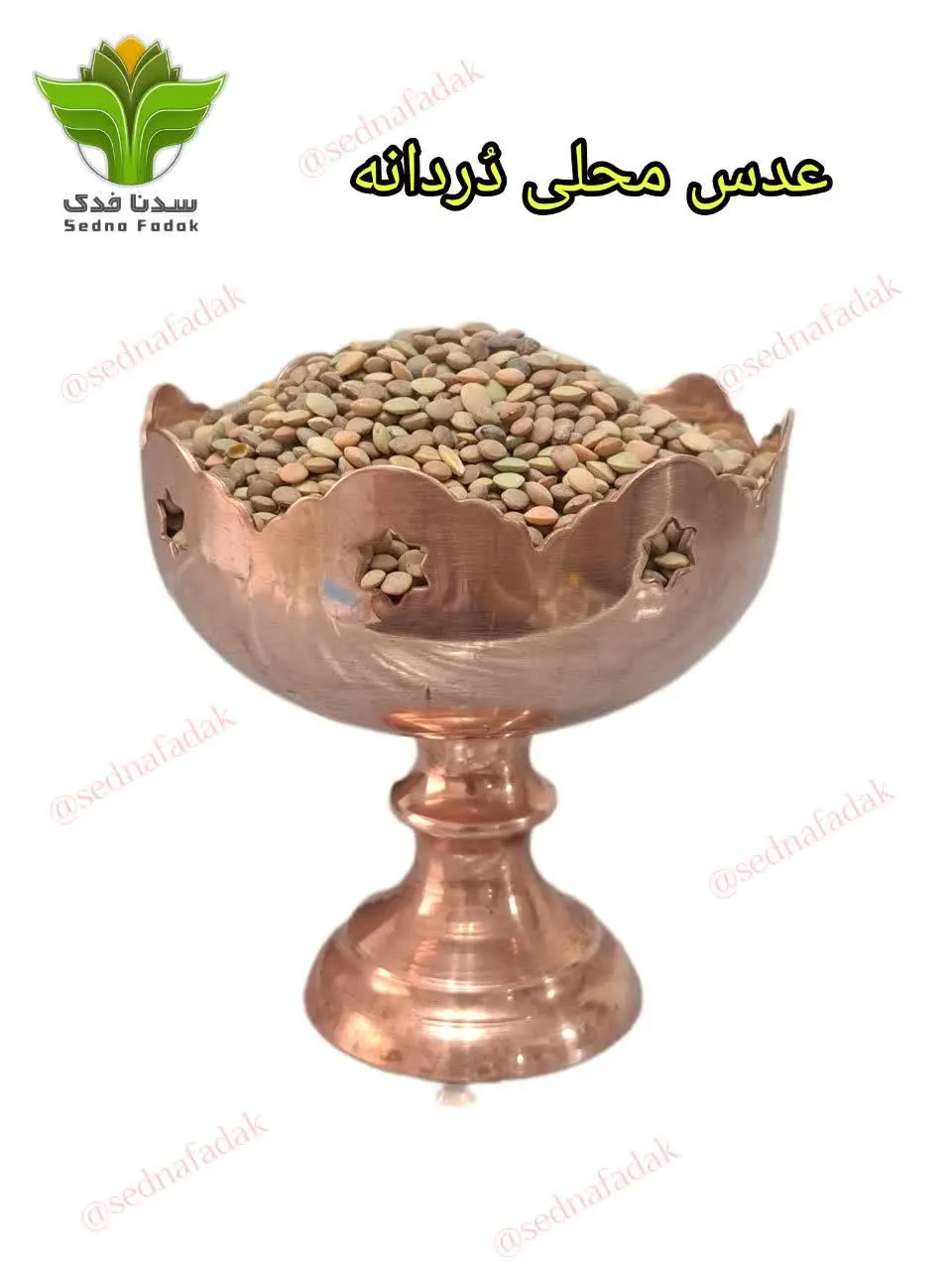 ✳️ عدس ریز بومی ✳️
