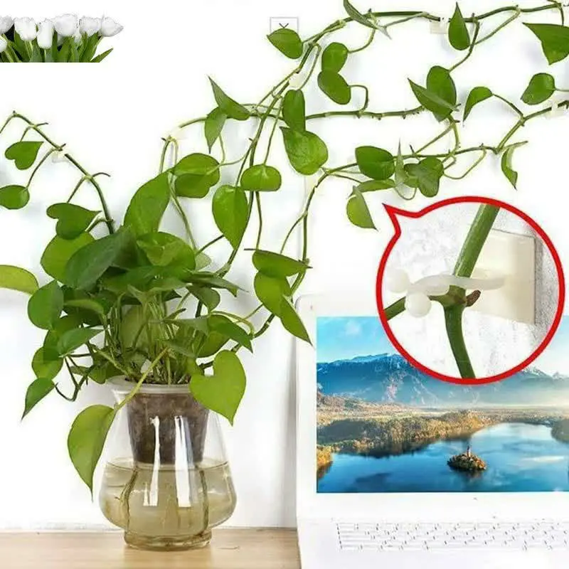 شارژ کوچولوهای پررررطرفدار😍
