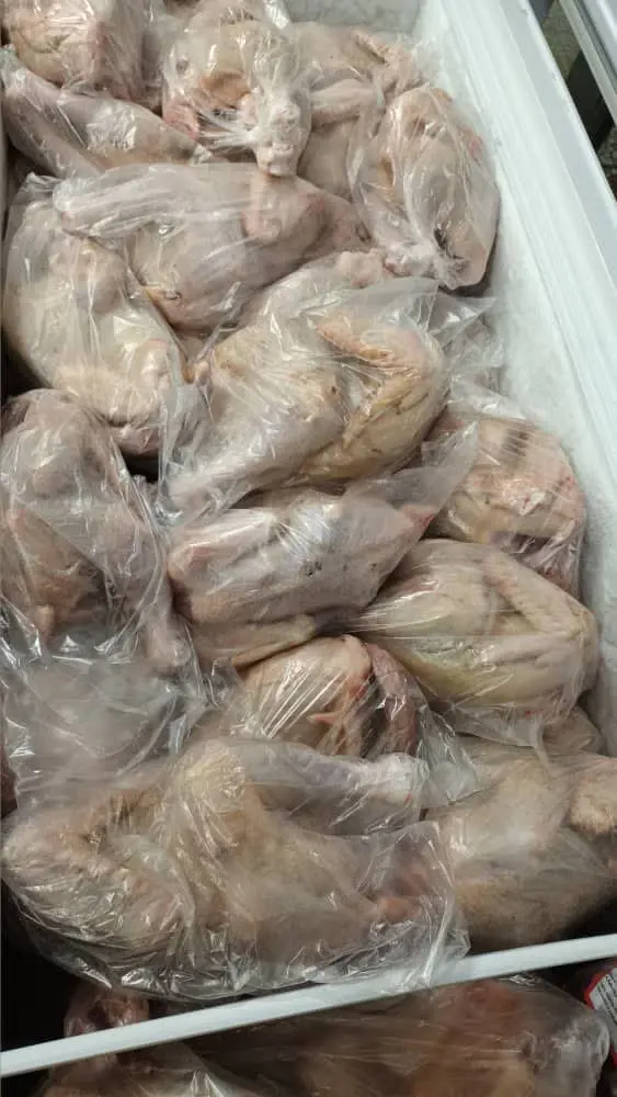 به افتخار دختردارای کانال
