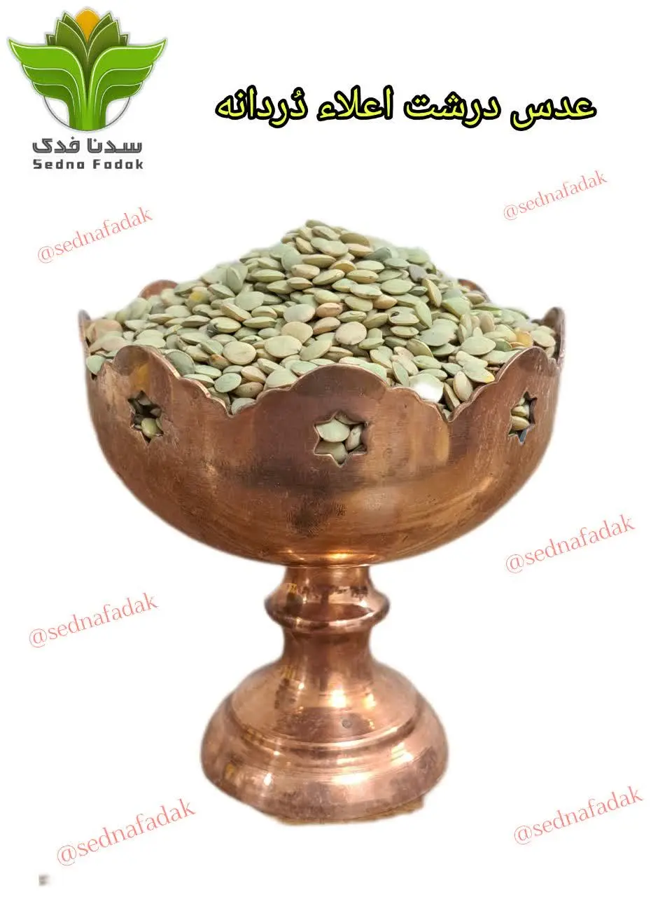 🍀عدس درشت🍀
