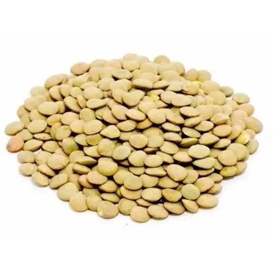 💥عدس درشت فله ای💥