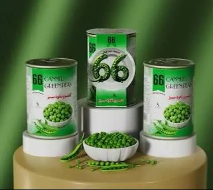 کنسرو نخود سبز «۶۶» 🫒