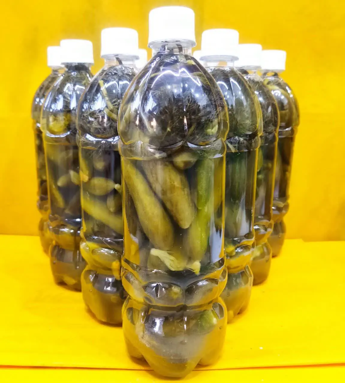 #خیارشور همدان🥒
