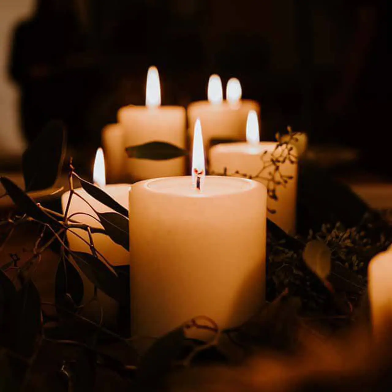 خدا و کیهان🌱