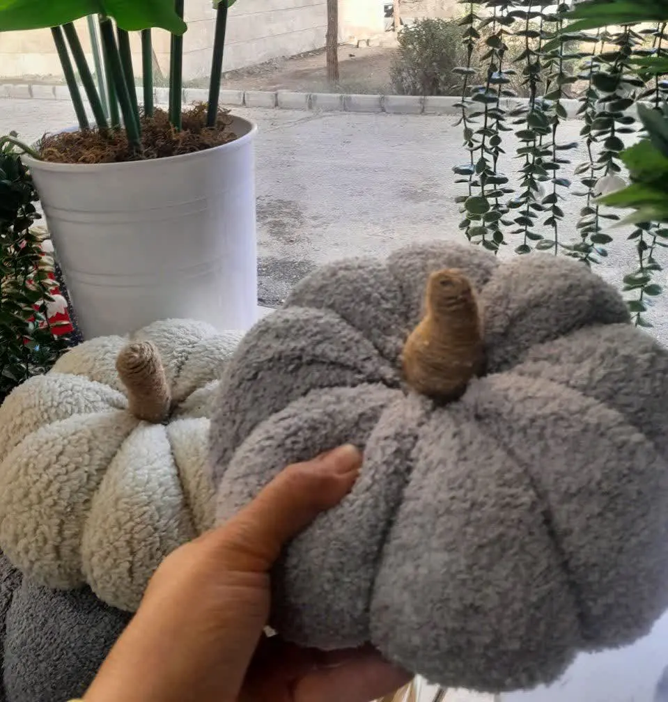 رنگ طوسی و کرم