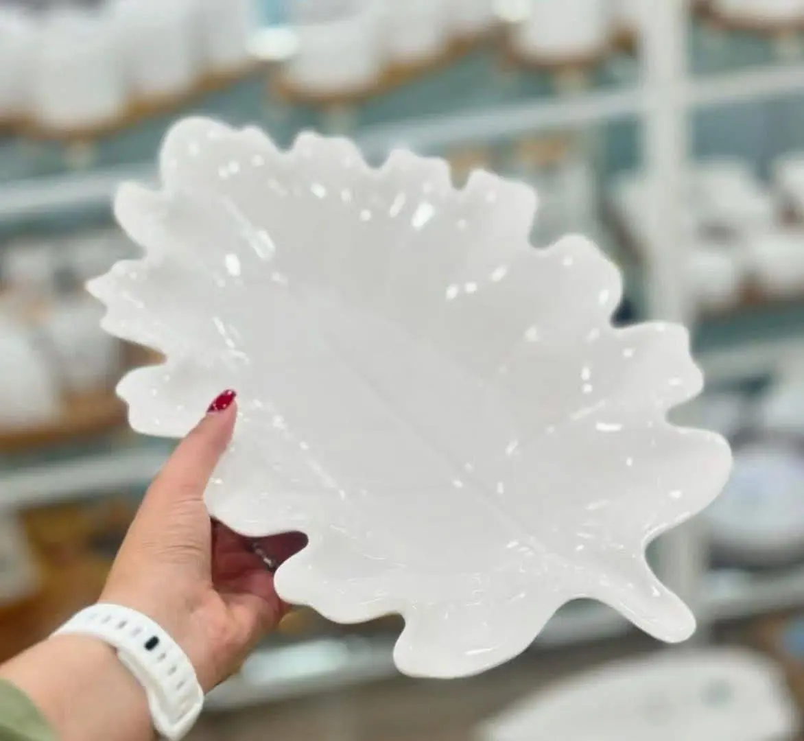 دیس طرح برگ شارژ شد 😍👌
