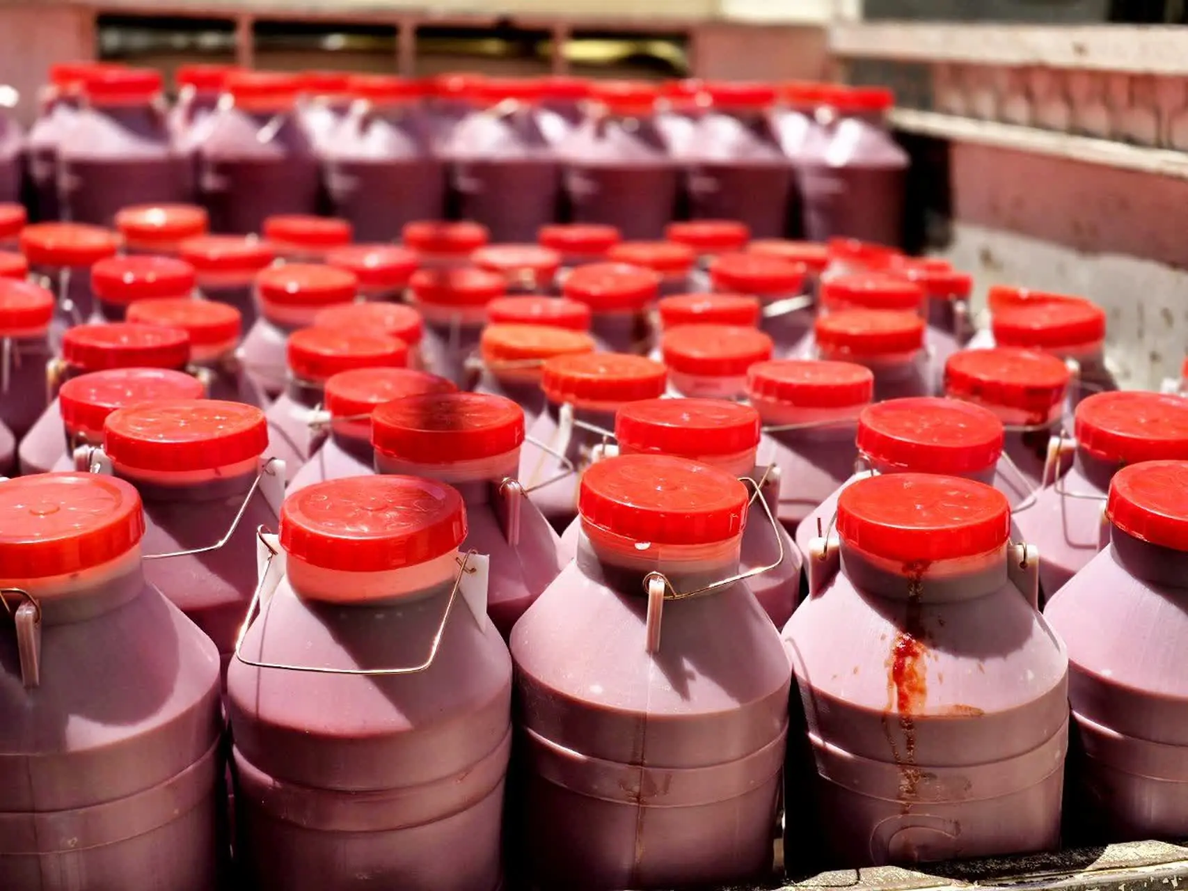 رب جوین سبزوار
