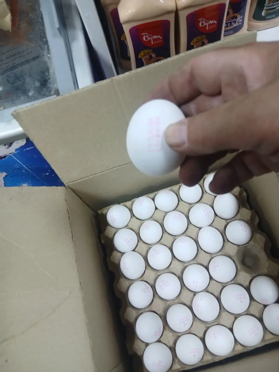 فروش ویژه تخم مرغ باشانه هرکیلو 
