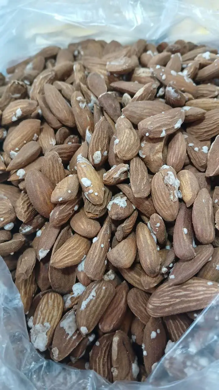 مغز بادوم شور کرده
