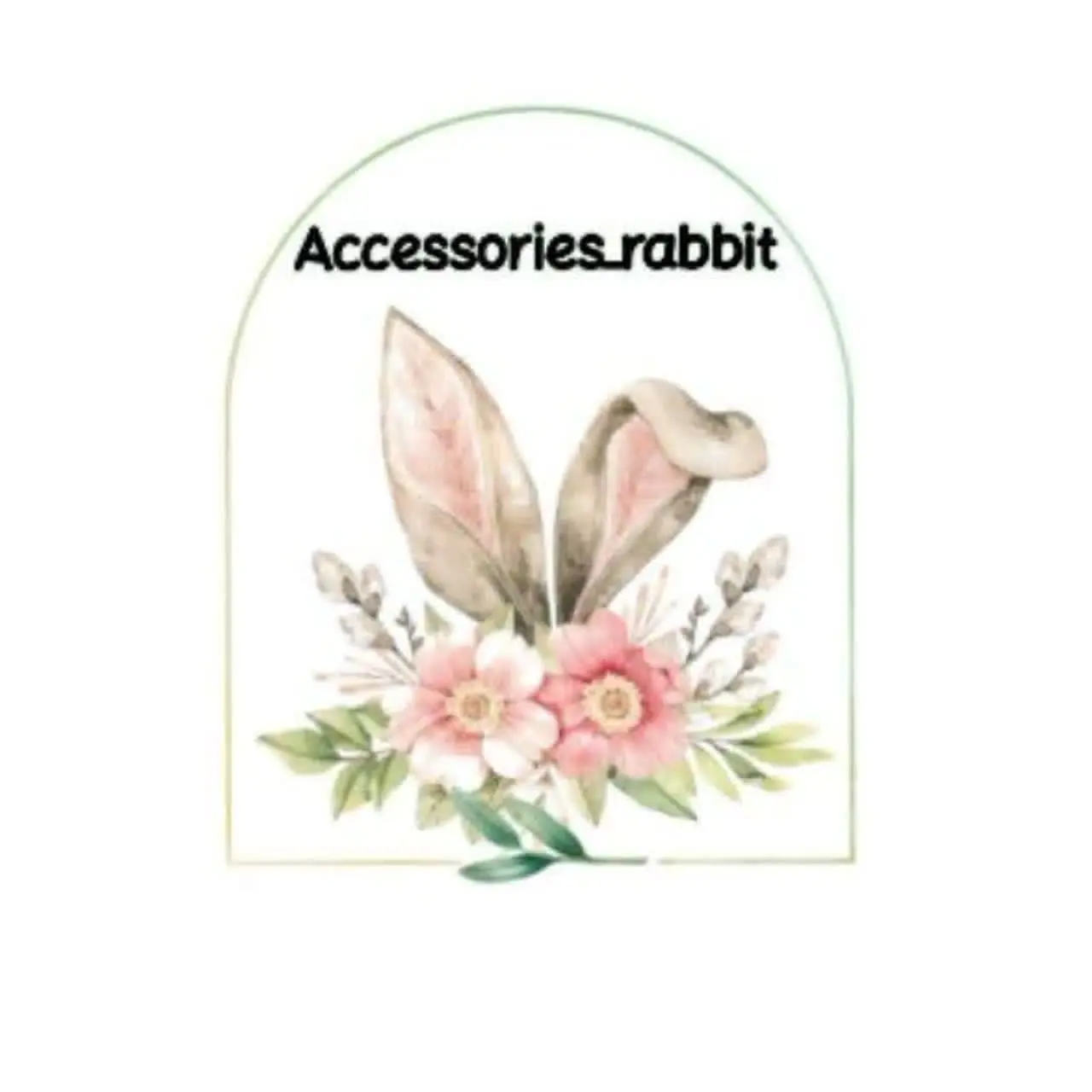 اکسسوری خرگوش🐰