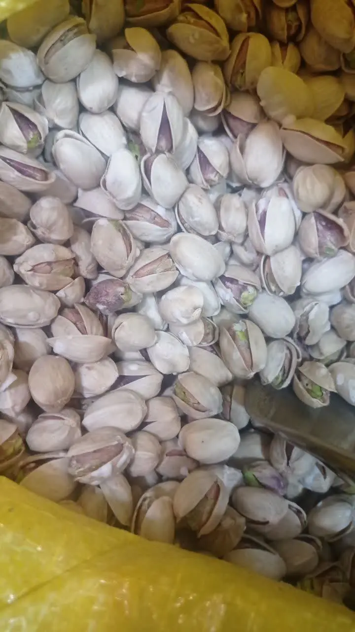 پسته کله قوچی درشت و داغ و تازه 
