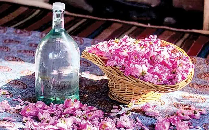 🌸🌸🌸🌸🌸🌸🌸🌸🌸
