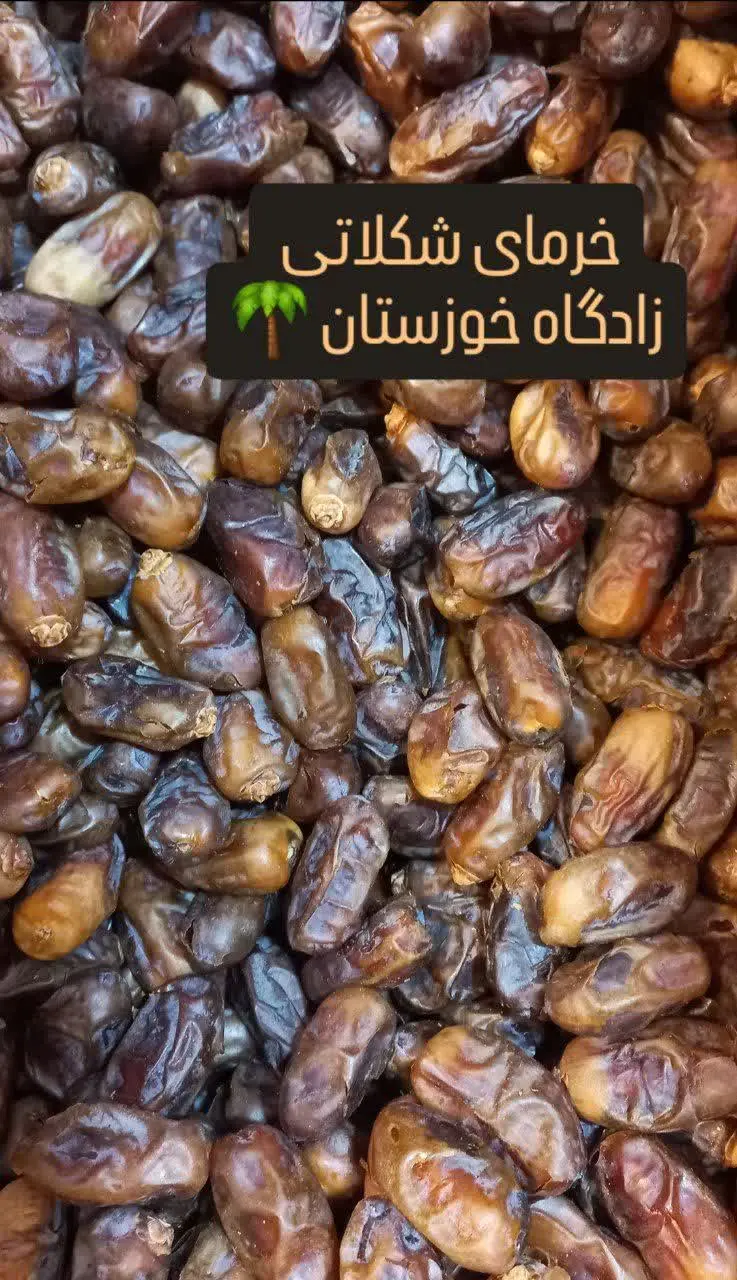 🌴خرمای شکلاتی🌴
